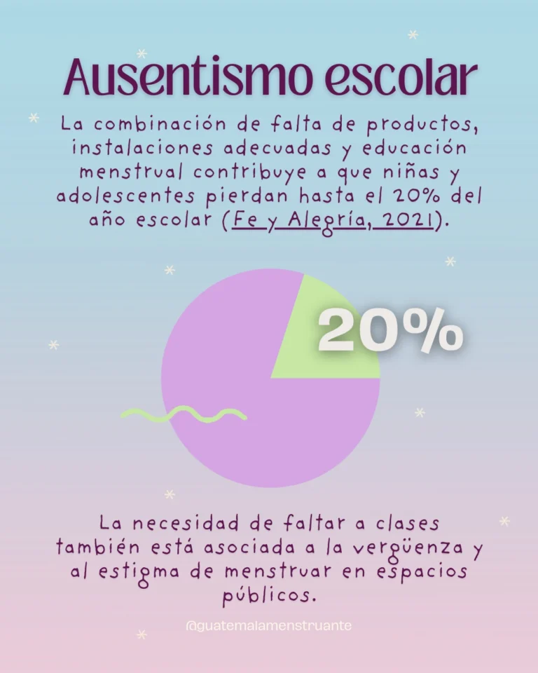 Instagram post from guatemalamenstruante. This post is in position 3.