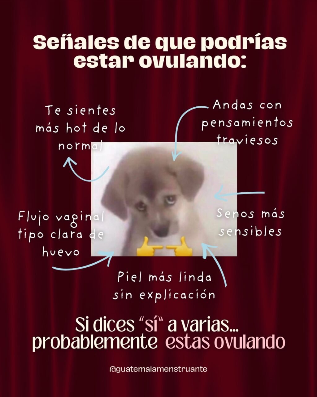 Instagram post from guatemalamenstruante. This post is in position 4.