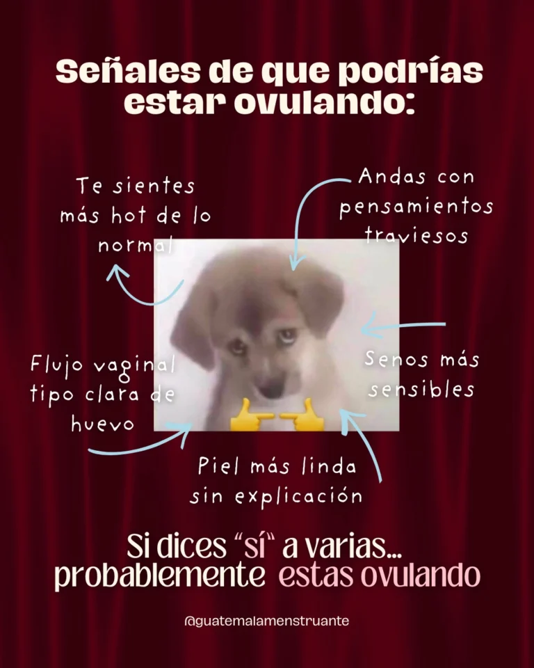 Instagram post from guatemalamenstruante. This post is in position 4.