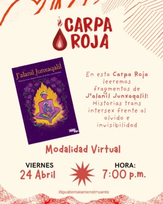 Instagram post from guatemalamenstruante. This post is in position 1.