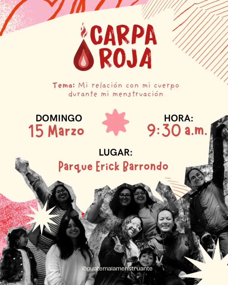 Instagram post from guatemalamenstruante. This post is in position 0.