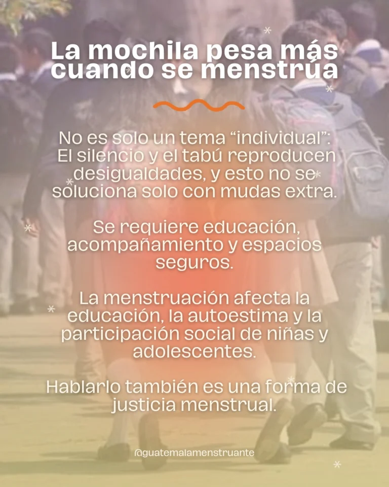 Instagram post from guatemalamenstruante. This post is in position 5.