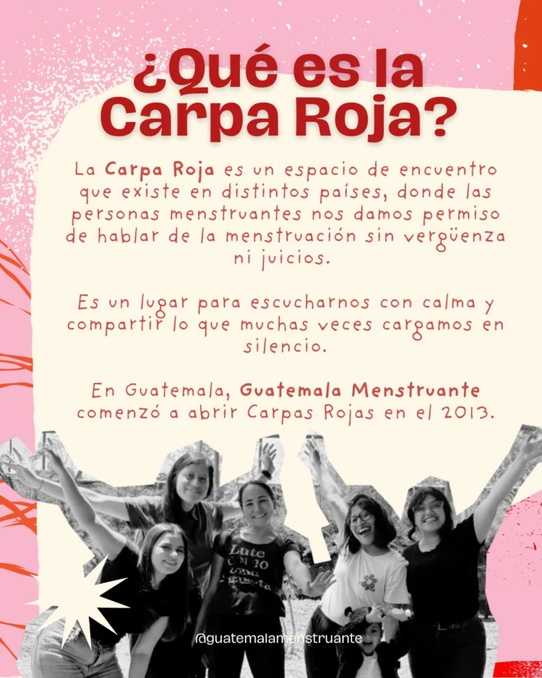 Instagram post from guatemalamenstruante. This post is in position 3.