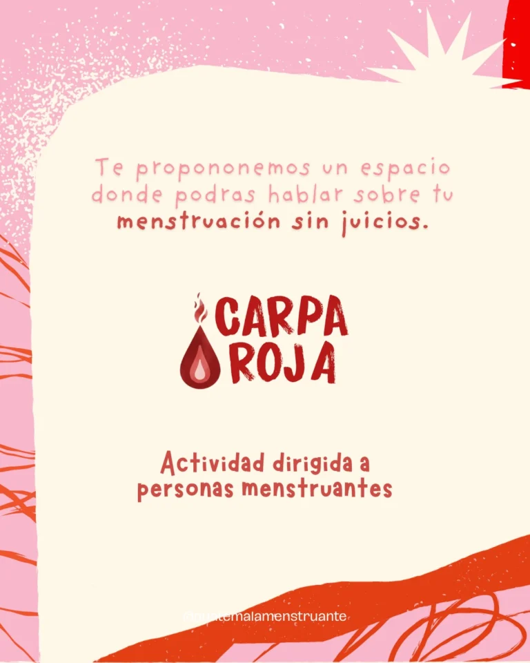 Instagram post from guatemalamenstruante. This post is in position 4.