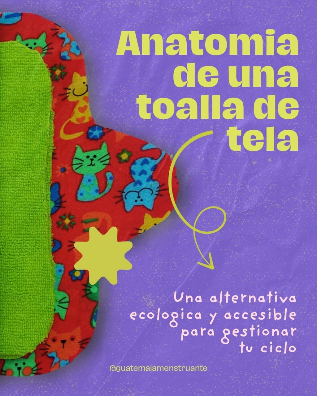 Instagram post from guatemalamenstruante. This post is in position 0.