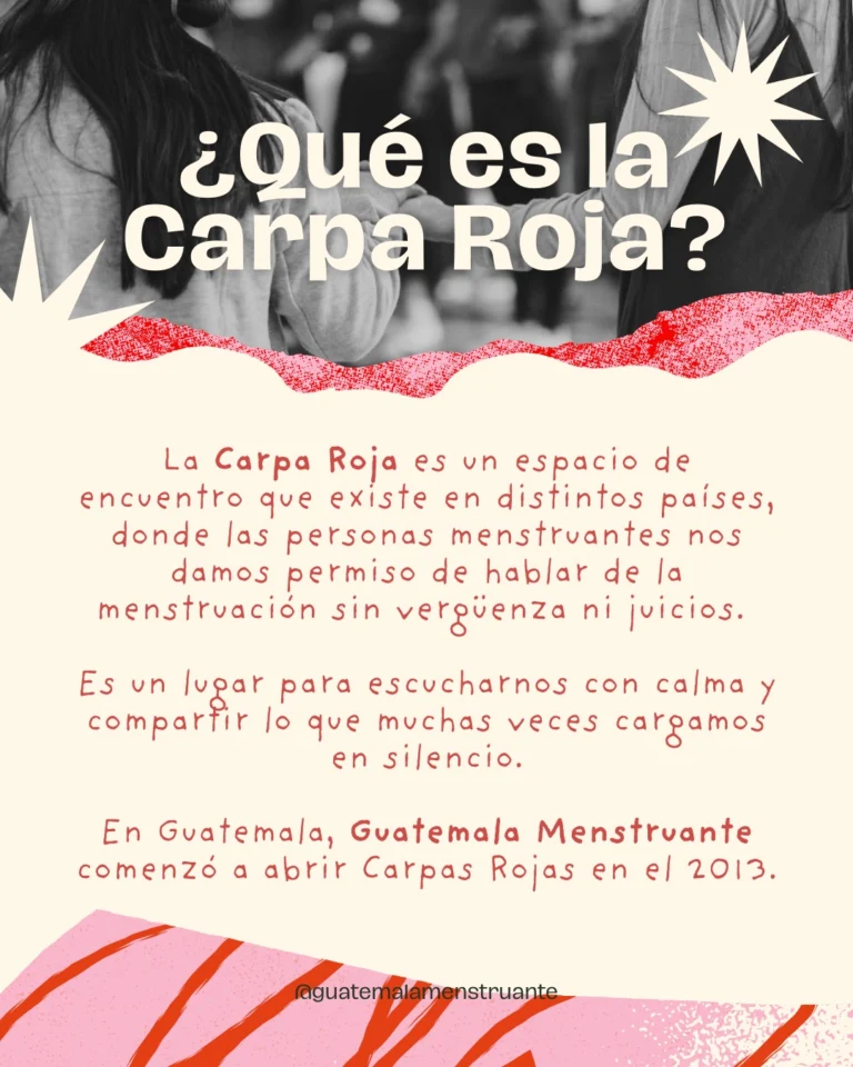 Instagram post from guatemalamenstruante. This post is in position 1.