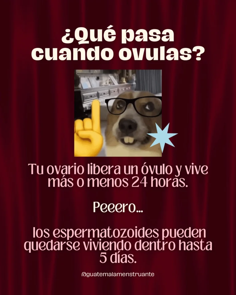 Instagram post from guatemalamenstruante. This post is in position 2.