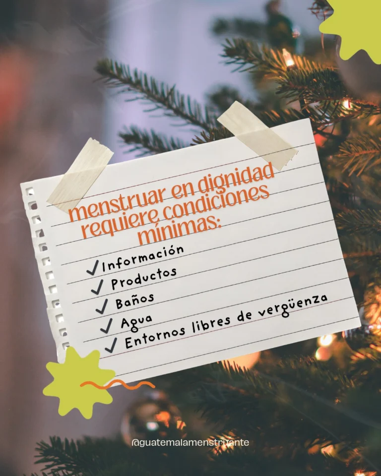 Instagram post from guatemalamenstruante. This post is in position 2.